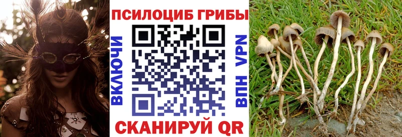 даркнет сайт  МЕГА как войти  Галлюциногенные грибы Psilocybine cubensis  Бологое 